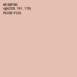 #E5BFB0 - Rose Fog Color Image